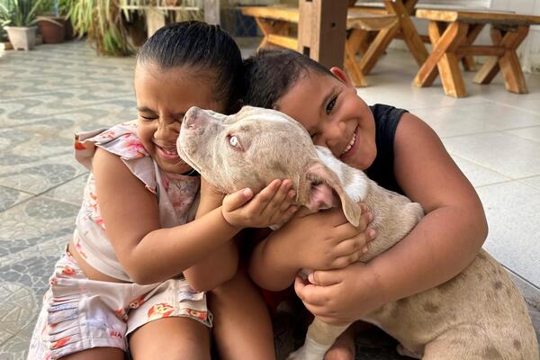 Prefeitura de Juazeiro prorroga pré-inscrições para Projeto de Castração de Cães e Gatos até sexta-feira (12)