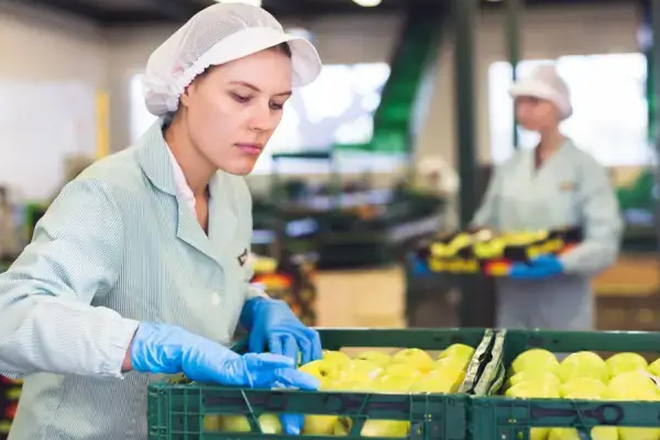 Fruticultores de Juazeiro e Casa Nova participam da e-Agro 2025 com apoio do Sebrae