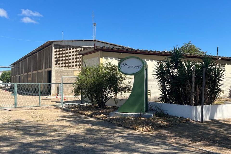 Juazeiro sediará evento científico internacional sobre novas tecnologias no combate ao Aedes aegypti