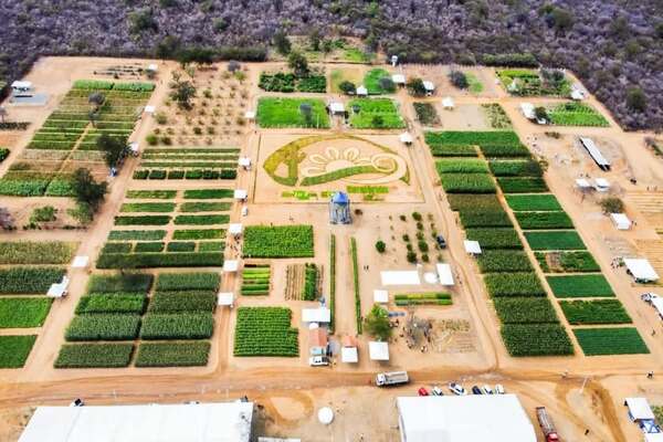 Petrolina marca presença no Semiárido Show 2025 com ações para fortalecer empreendedorismo