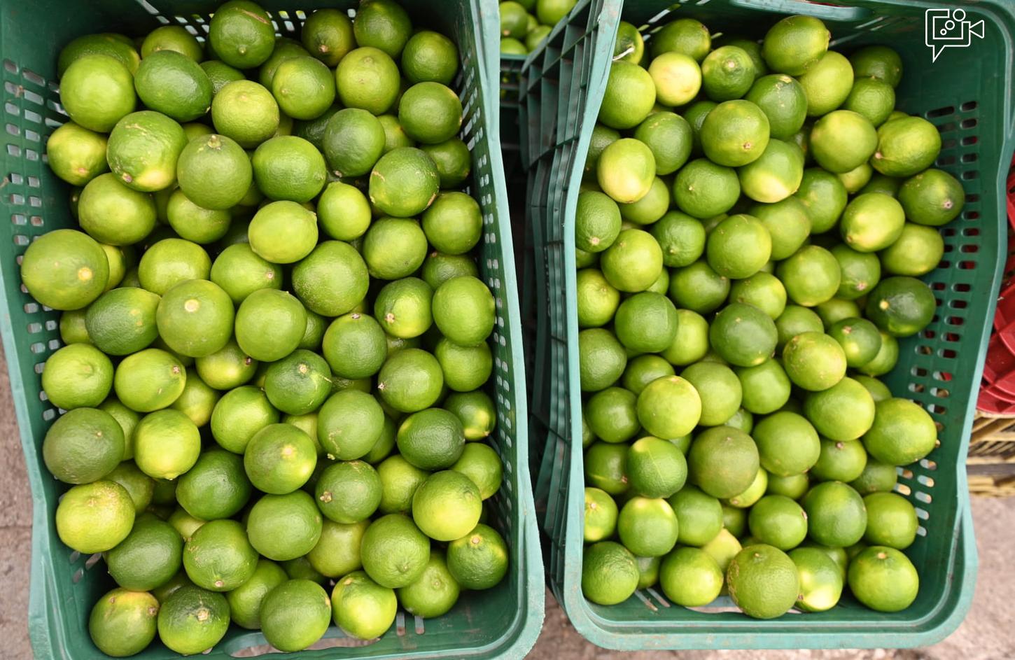 AMA divulga cotação dos hortifrutigranjeiros comercializados no Mercado do Produtor de Juazeiro nesta sexta-feira (24)