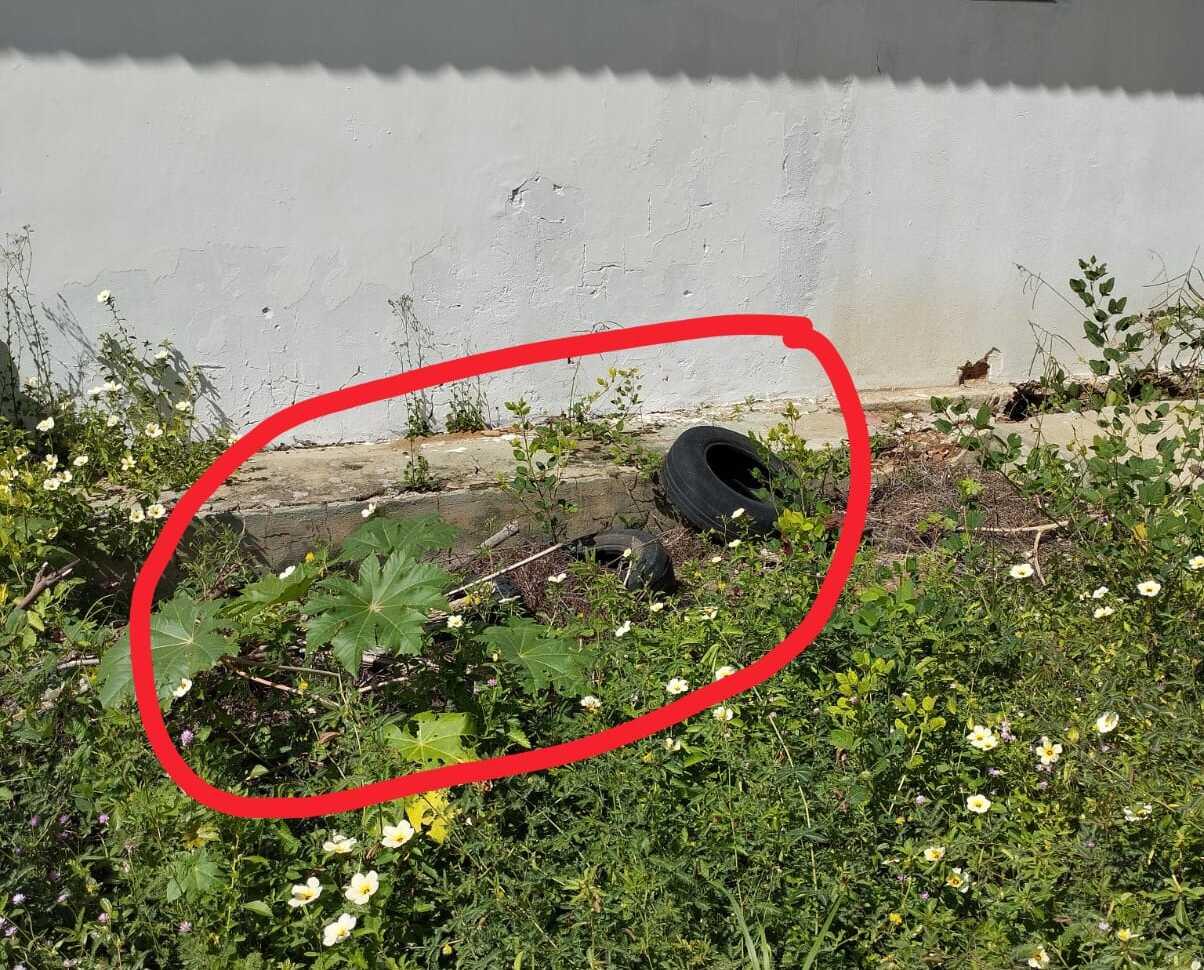 Pneus e entulhos propagando mosquitos