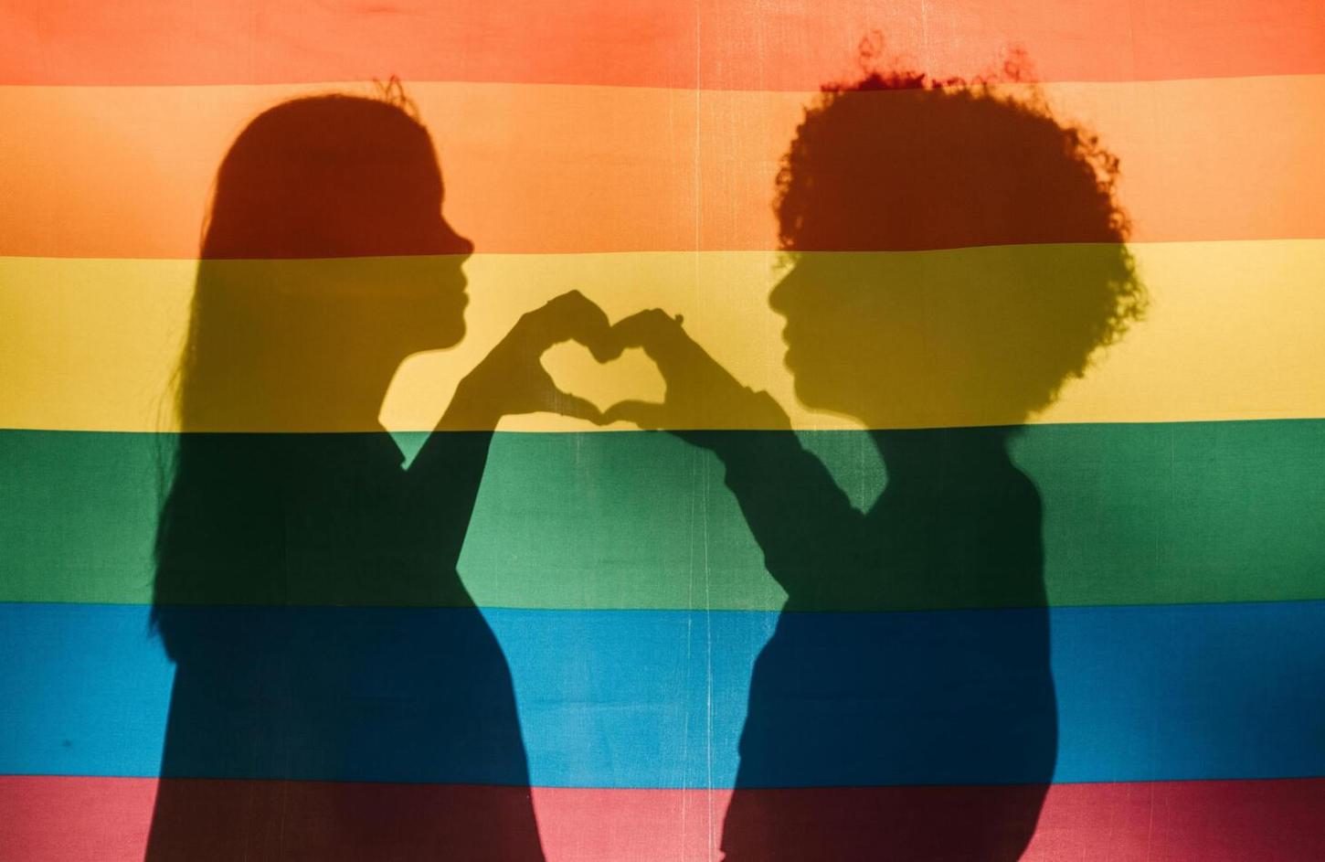 Criação da Rede Nacional de Conselhos dos Direitos LGBTQIA+ para integrar políticas públicas