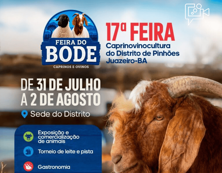 17ª Feira do Bode de Pinhões começa nesta sexta-feira (31) com três dias de programação gratuita, cultura e fortalecimento da produção rural