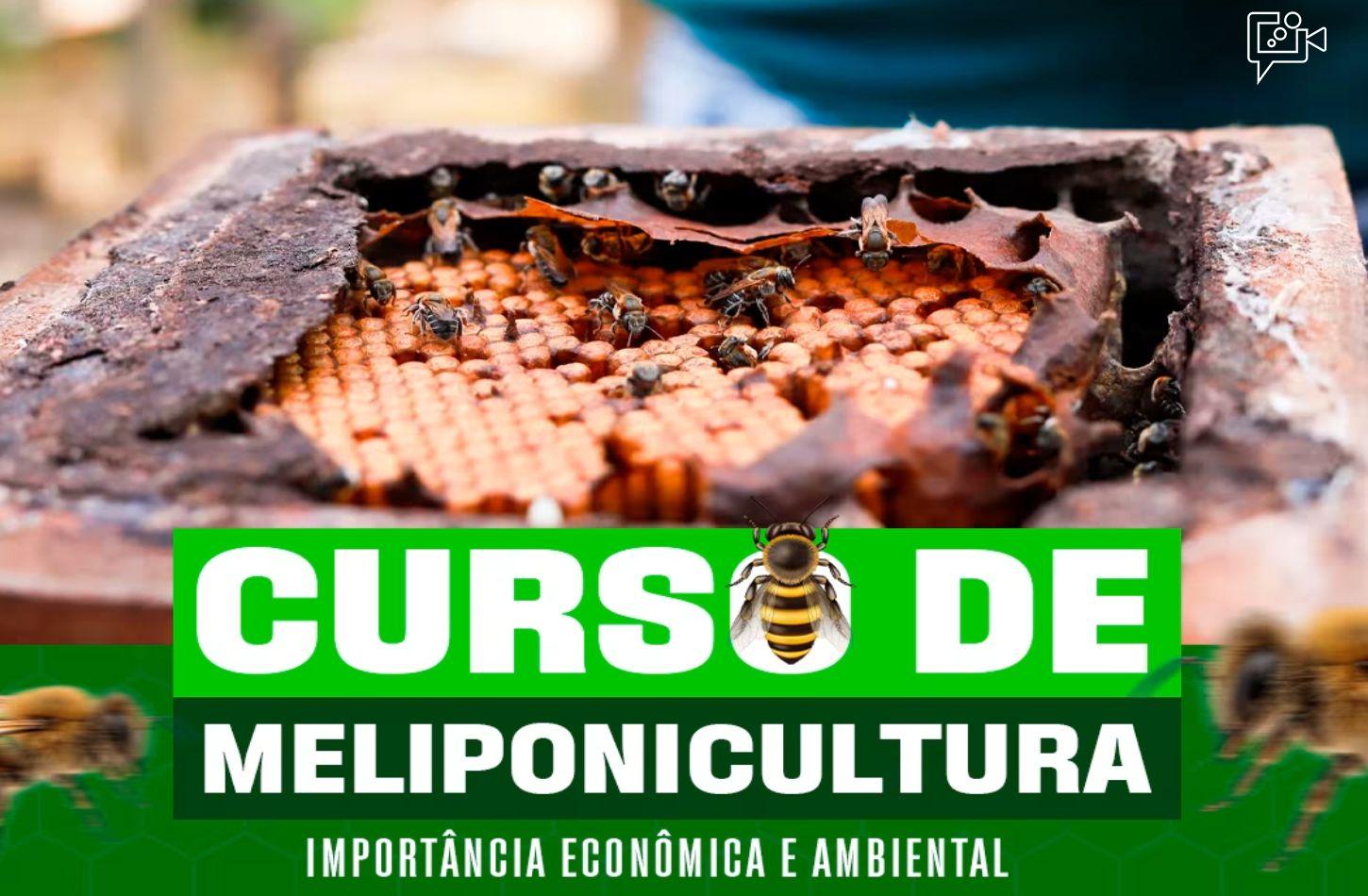 Casa Nova promove curso gratuito de meliponicultura na EFAC