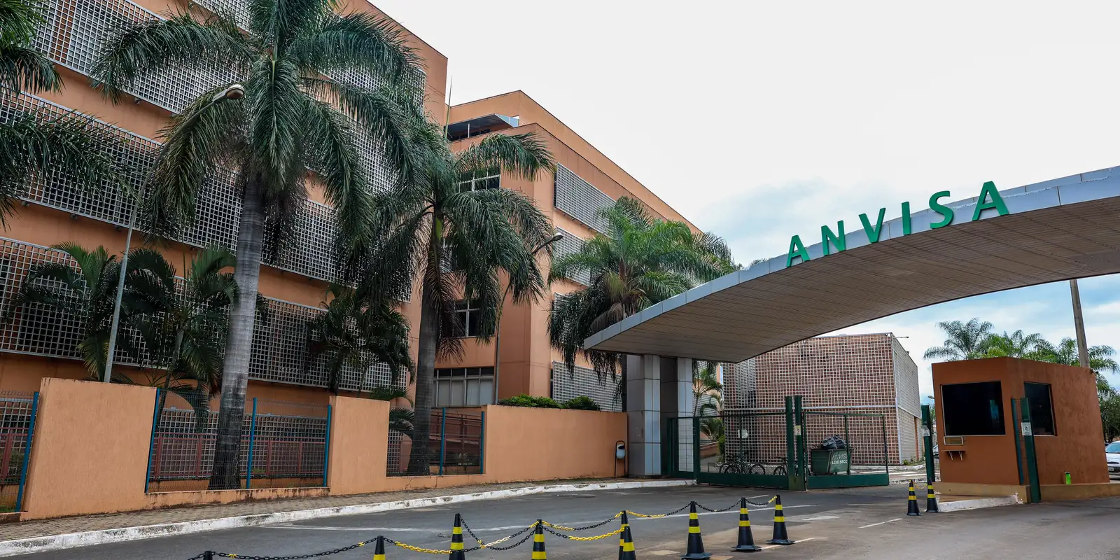 Anvisa aprova novos medicamentos de semaglutida e o primeiro genérico no país