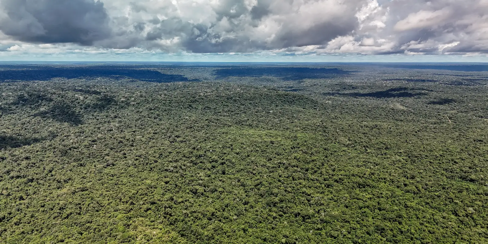 Governo federal autoriza empréstimo de US$ 1 bilhão do BID para o Eco Invest Brasil