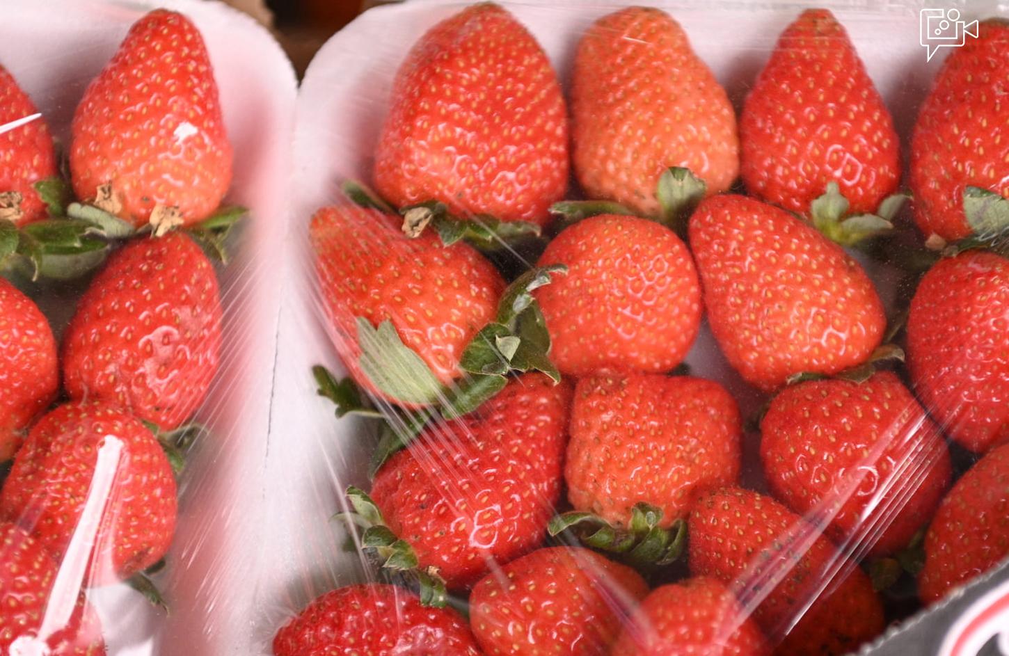 Prefeitura de Juazeiro divulga cotação dos hortifrutigranjeiros comercializados no Mercado do Produtor nesta sexta-feira (25)