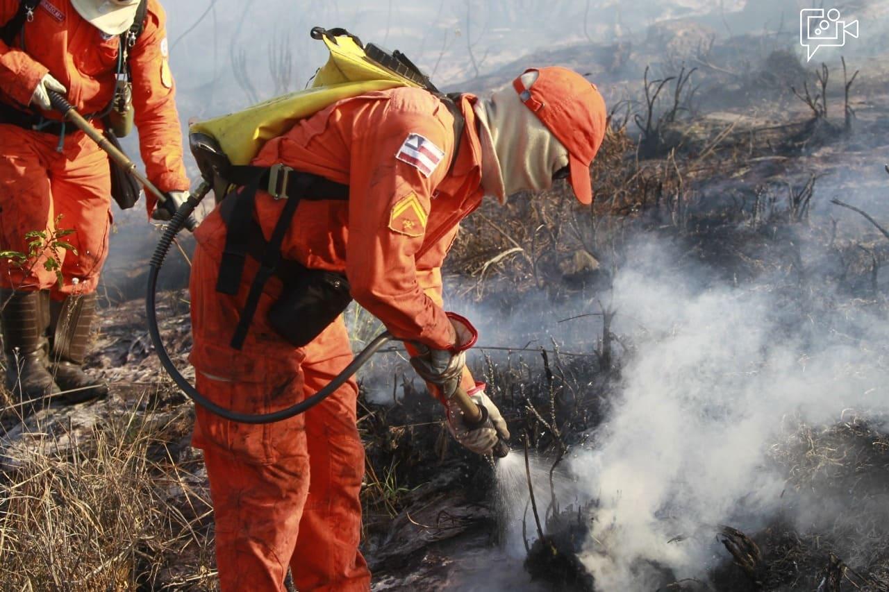 Bombeiros completam 100 dias de operação contra incêndios florestais com redução de 29% nos focos de calor