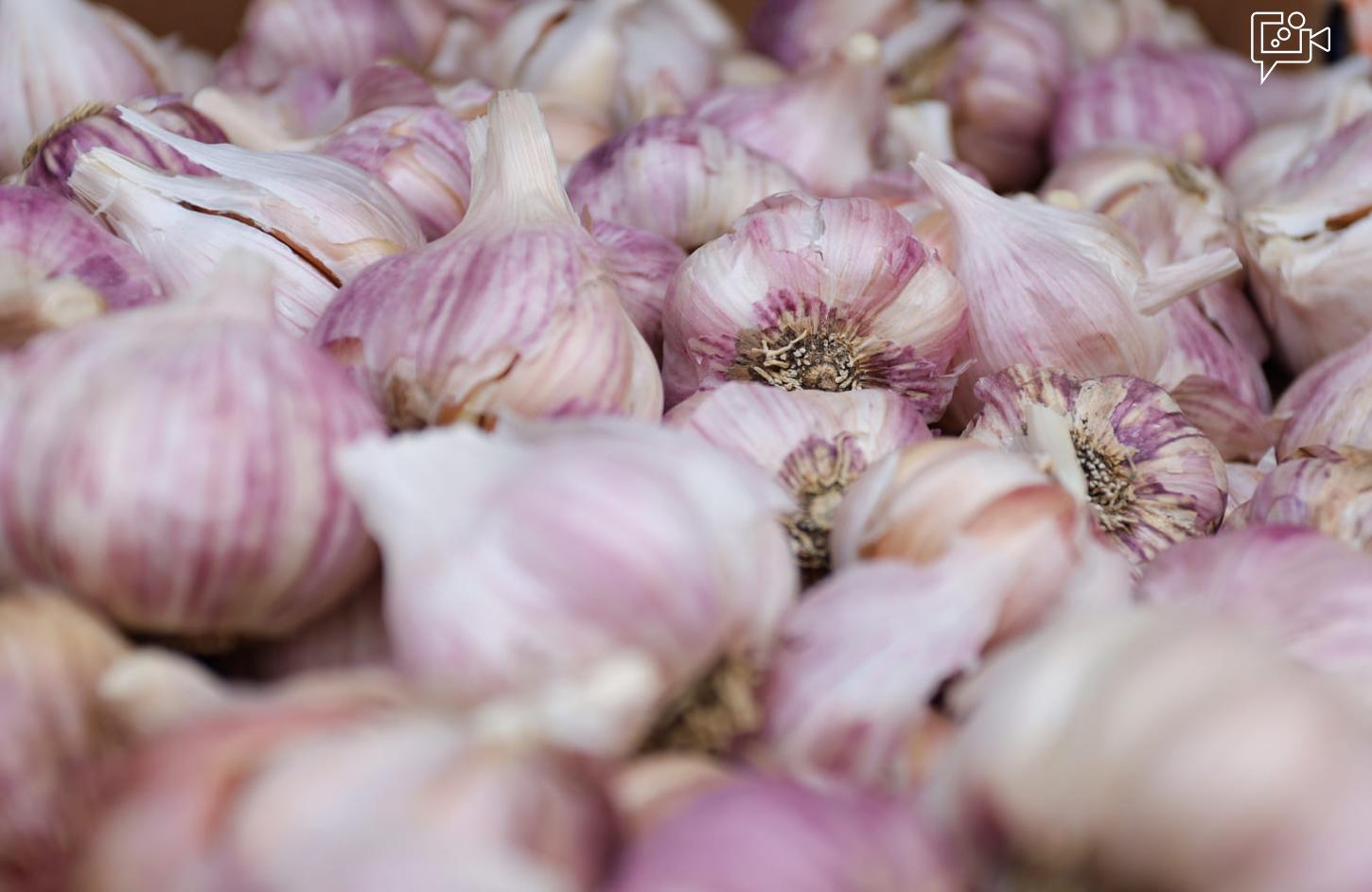 Cotação dos hortifrutigranjeiros comercializados no Mercado do Produtor de Juazeiro nesta terça-feira (6)