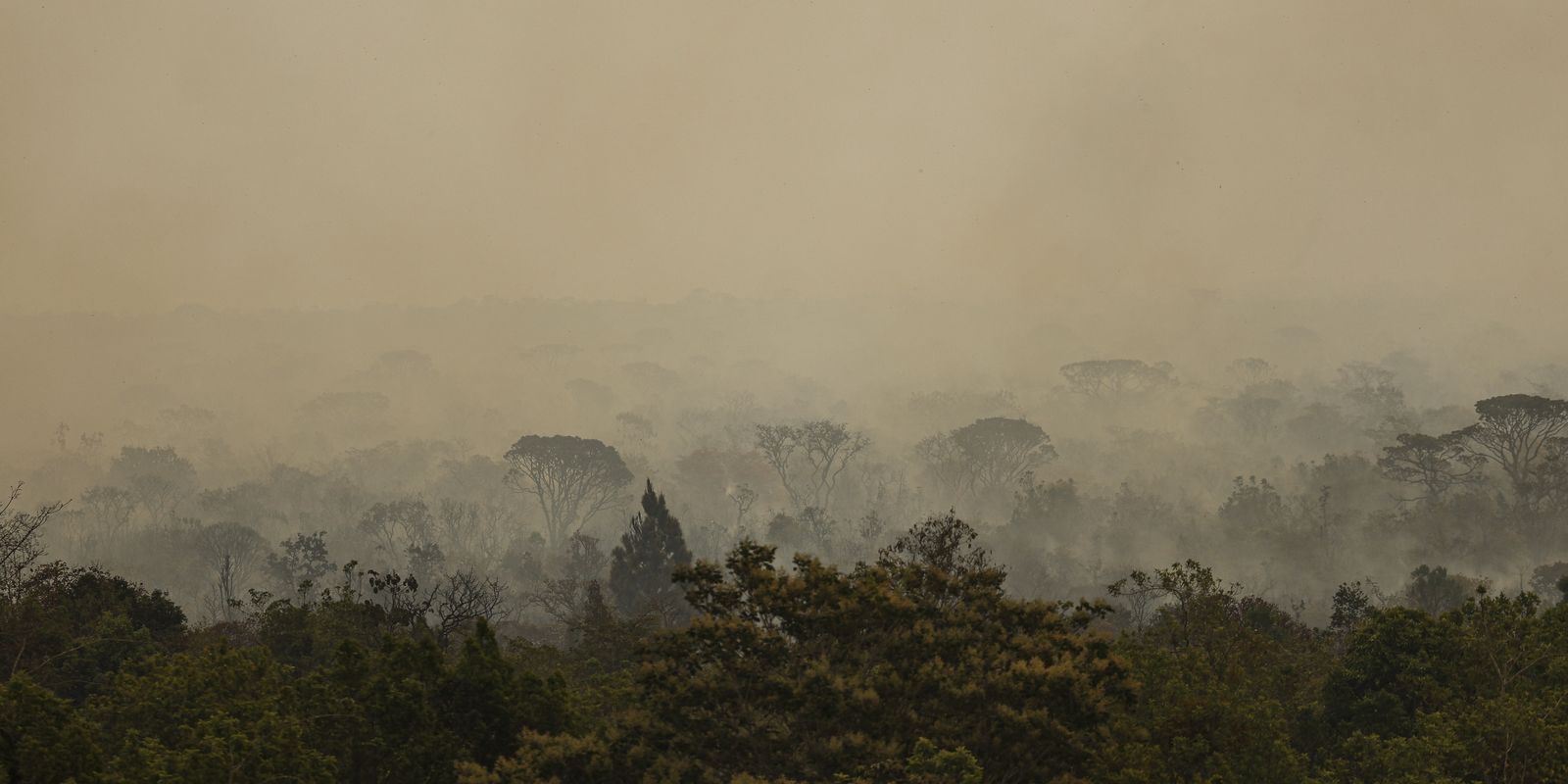 Força Nacional do SUS atua no Amazonas contra crise de fumaça e fogo