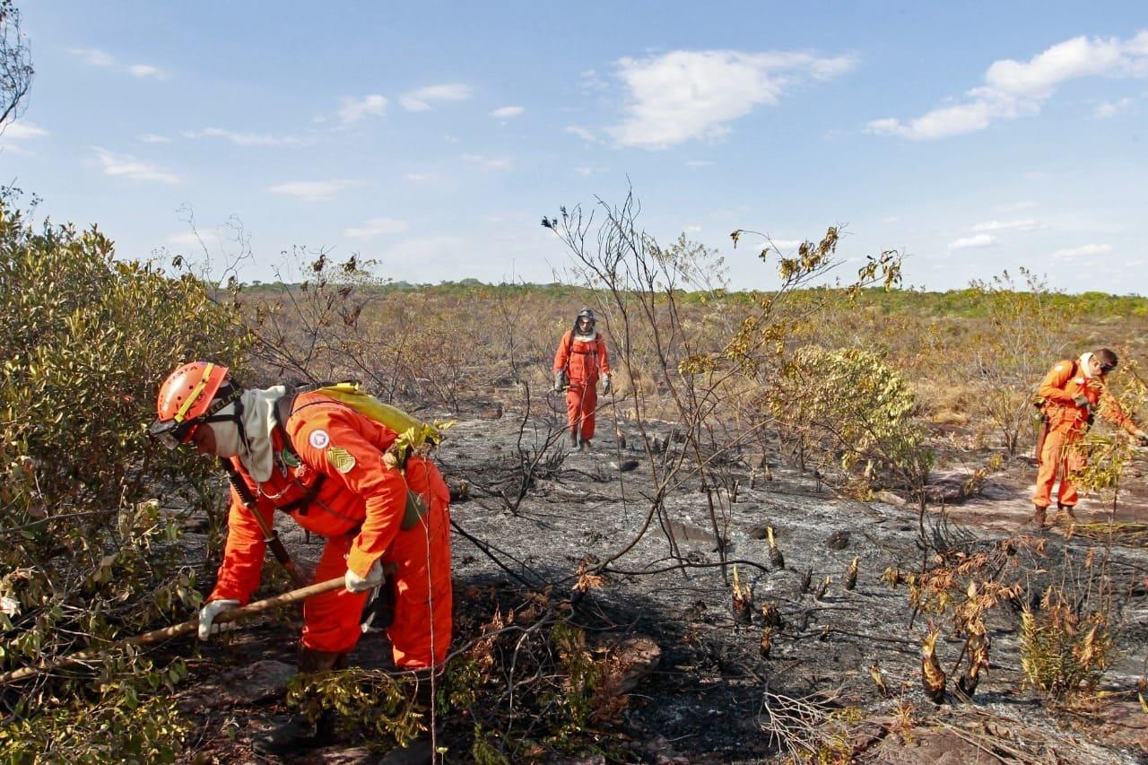 Corpo de bombeiros em operação
