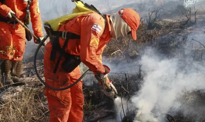 Bombeiros completam 100 dias de operação contra incêndios florestais com redução de 29% nos focos de calor