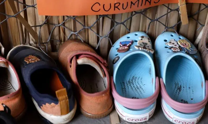 Censo revela que apenas 17% das creches e pré-escolas brasileiras possuem itens básicos essenciais