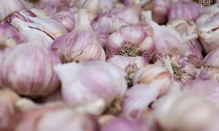 Cotação dos hortifrutigranjeiros comercializados no Mercado do Produtor de Juazeiro nesta terça-feira (6)