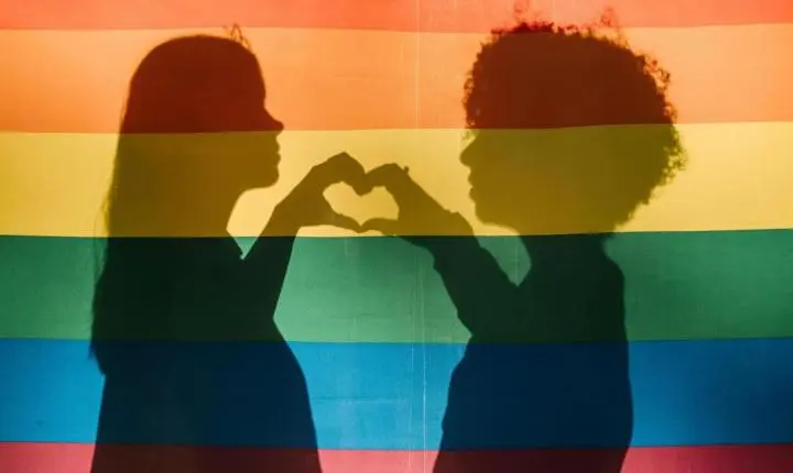 Criação da Rede Nacional de Conselhos dos Direitos LGBTQIA+ para integrar políticas públicas
