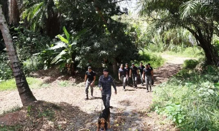 PMBA capacitou policiais para conduzir cães em buscas por pessoas desaparecidas